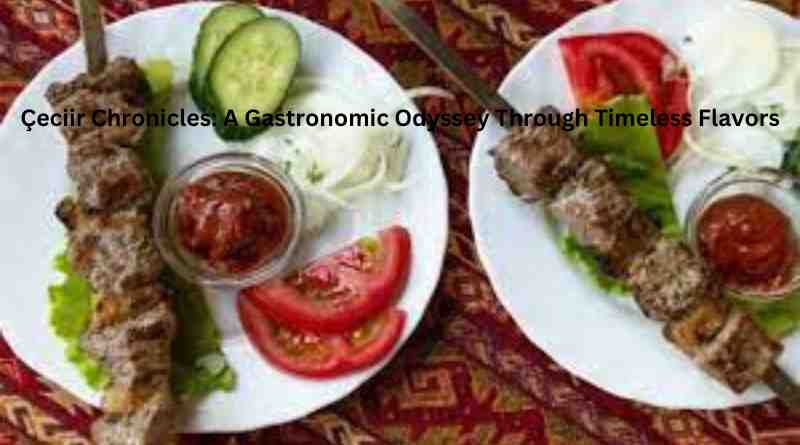 Çeciir Chronicles: A Gastronomic Odyssey Through Timeless Flavors