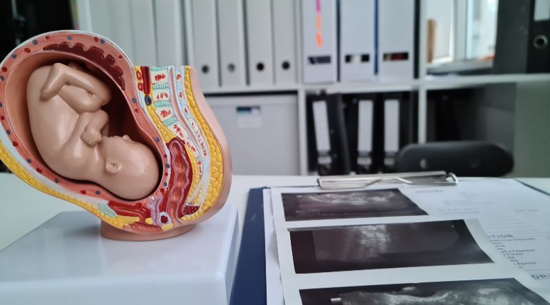 Surrogacy in Ukraine with Parens International clinic